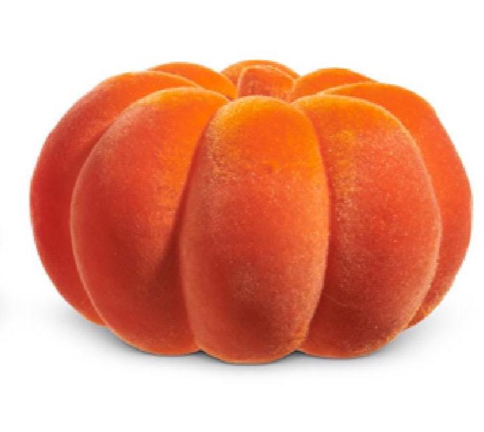 8" Orange Flocked Pumpkins | Classic Fall charm with a plush twist.