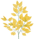 23" Ficus Leaf Spray – Bundle of 12 | Faux Greenery Stem | Soft Yellow | DIY Floral, Wreath, Centerpiece, Home Decor