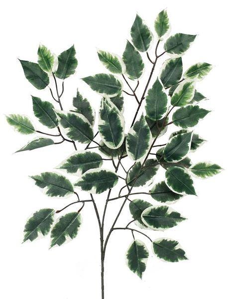 23" Ficus Leaf Spray – Bundle of 12 | Faux Greenery Stem | Variegated Green White | DIY Floral, Wreath, Centerpiece, Home Decor