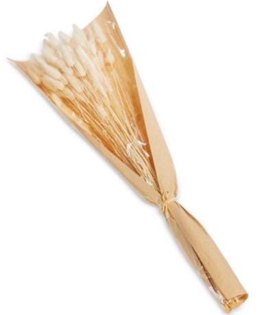 Dried Bunny Tail Grass Bundle | Natural Lagurus Stems | Neutral Farmhouse Decor | Wreath Making Floral Supply