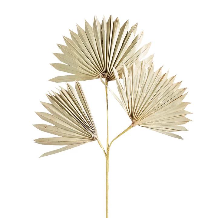 28" Dried Palm Spray, Natural Palm Fan Stem, Neutral Coastal Decor, Farmhouse Floral
