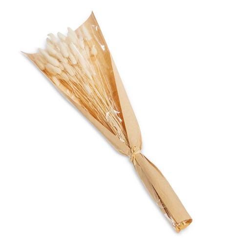 Dried Bunny Tail Grass Bundle | Natural Lagurus Stems | Neutral Farmhouse Decor | Wreath Making Floral Supply