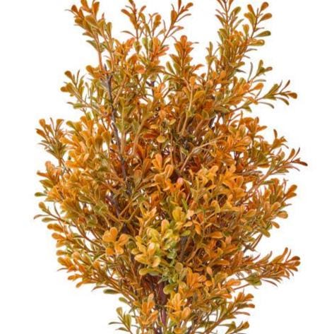 17” UV Autumn Boxwood Bush, Orange Fall Greenery, Outdoor Wreath Floral, Thanksgiving Arrangement and Harvest Decor Supply